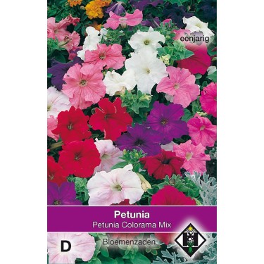 Petunia nana compacta 'Colorama Mix' -zaden-