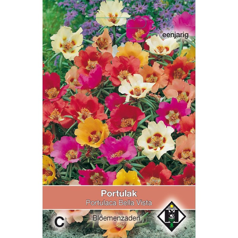Portulaca grandiflora 'Bella Vista Mix' -zaden- Portulaca grandiflora 'Bella Vista Mix' -zaden-