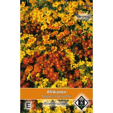 Tagetes tenuifolia 'Starfire Mix' -zaden-