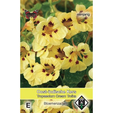 Tropaeolum majus nanum 'Cream Troika' -zaden-