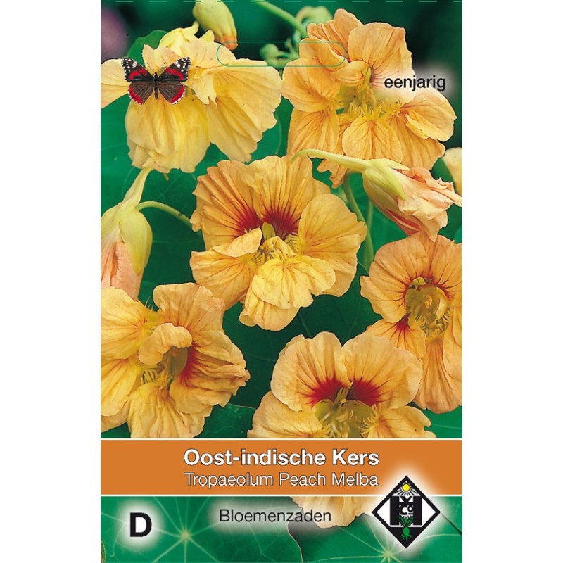 Tropaeolum majus nanum 'Peach Melba' -zaden-