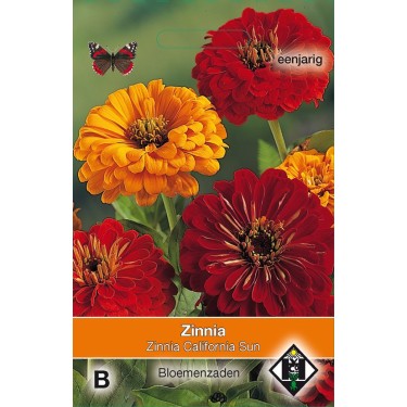 Zinnia elegans 'California Sun' -zaden-