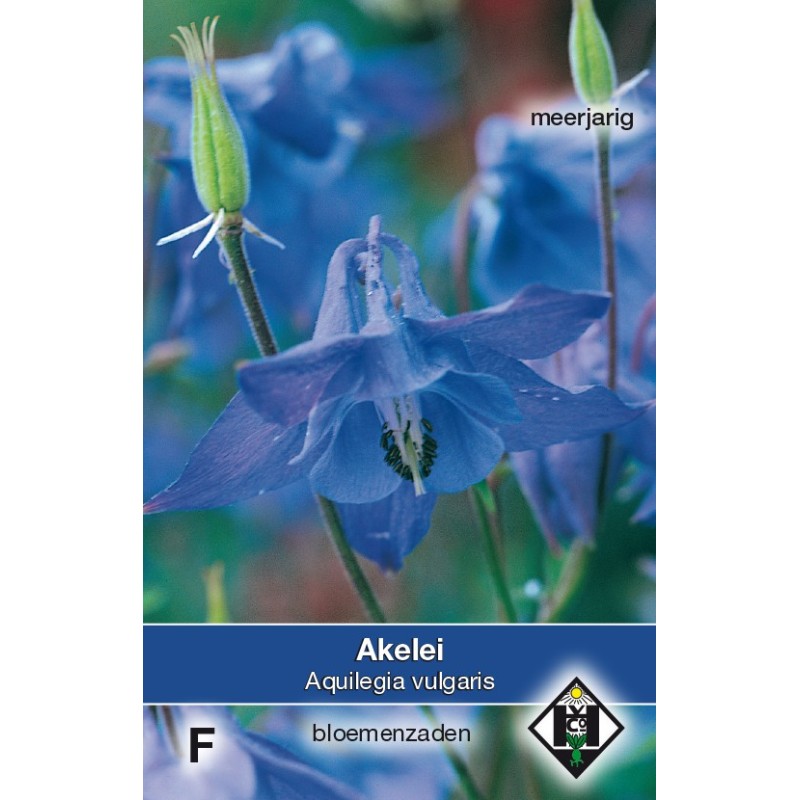 Aquilegia vulgaris -zaden- Aquilegia vulgaris -zaden-