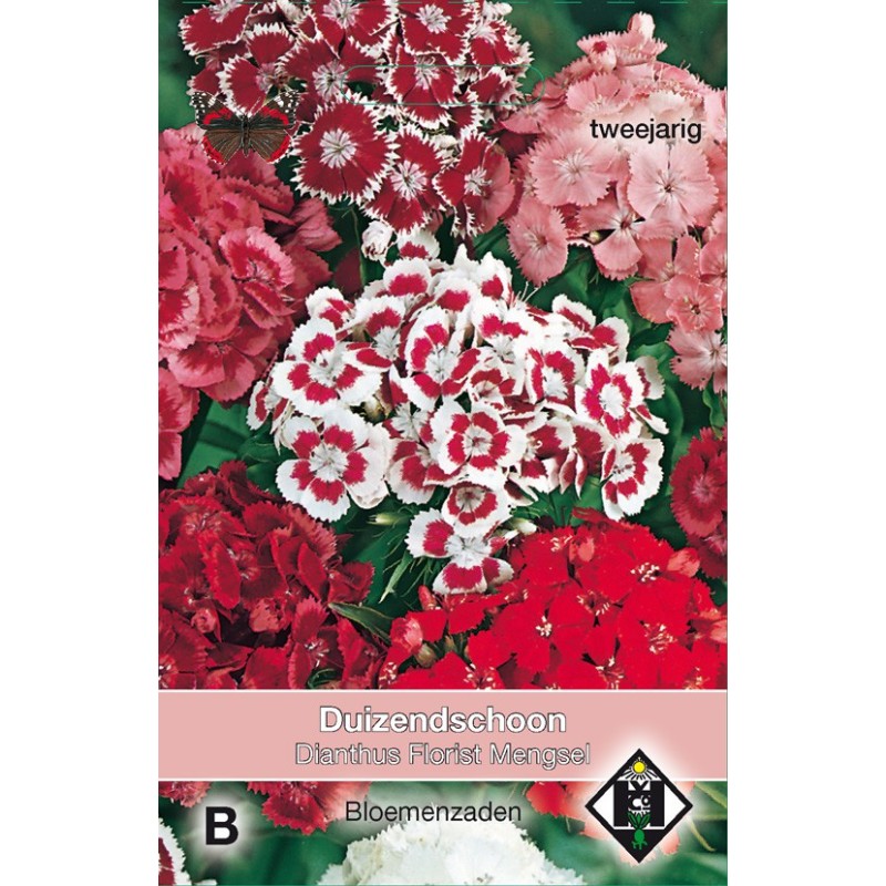 Dianthus barbatus 'Florist Mengsel' -zaden- Dianthus barbatus 'Florist Mengsel' -zaden-