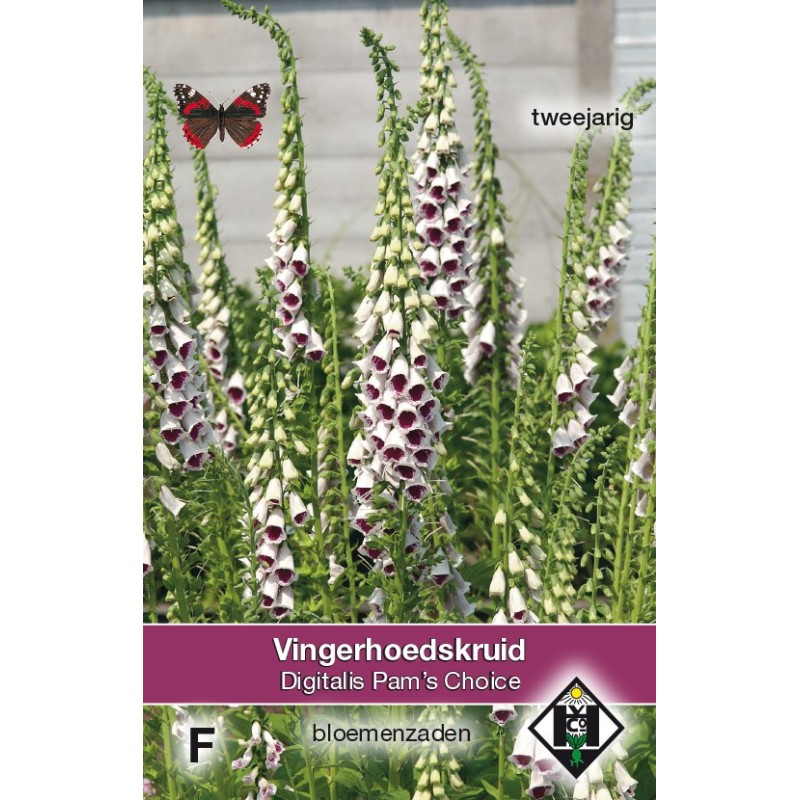 Digitalis purpurea 'Pam's Choice' -zaden- Digitalis purpurea 'Pam's Choice' -zaden-