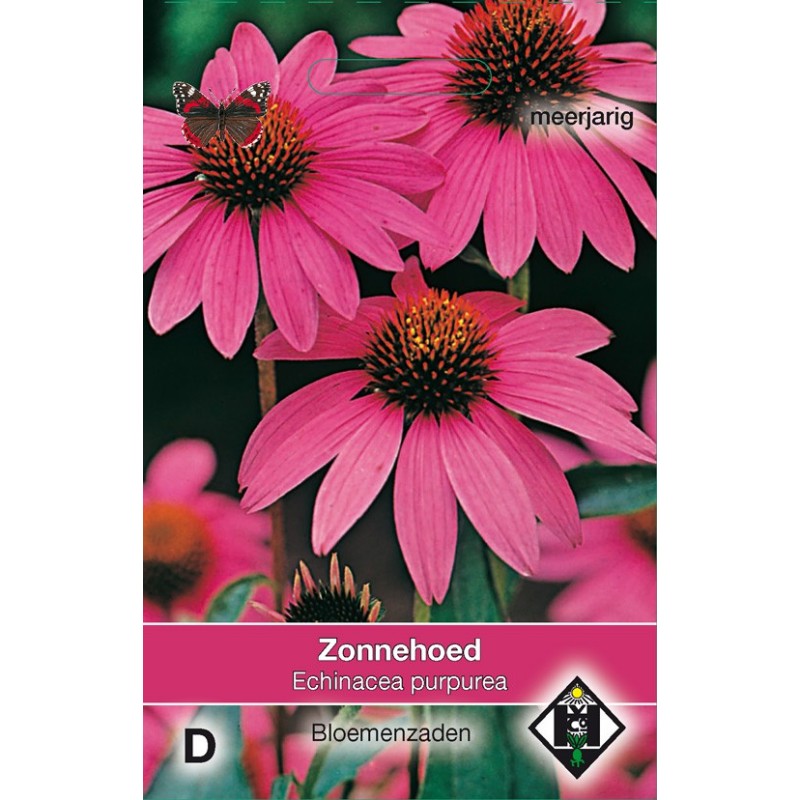 Echinacea purpurea -zaden-