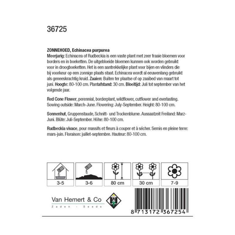 Echinacea purpurea -zaden-