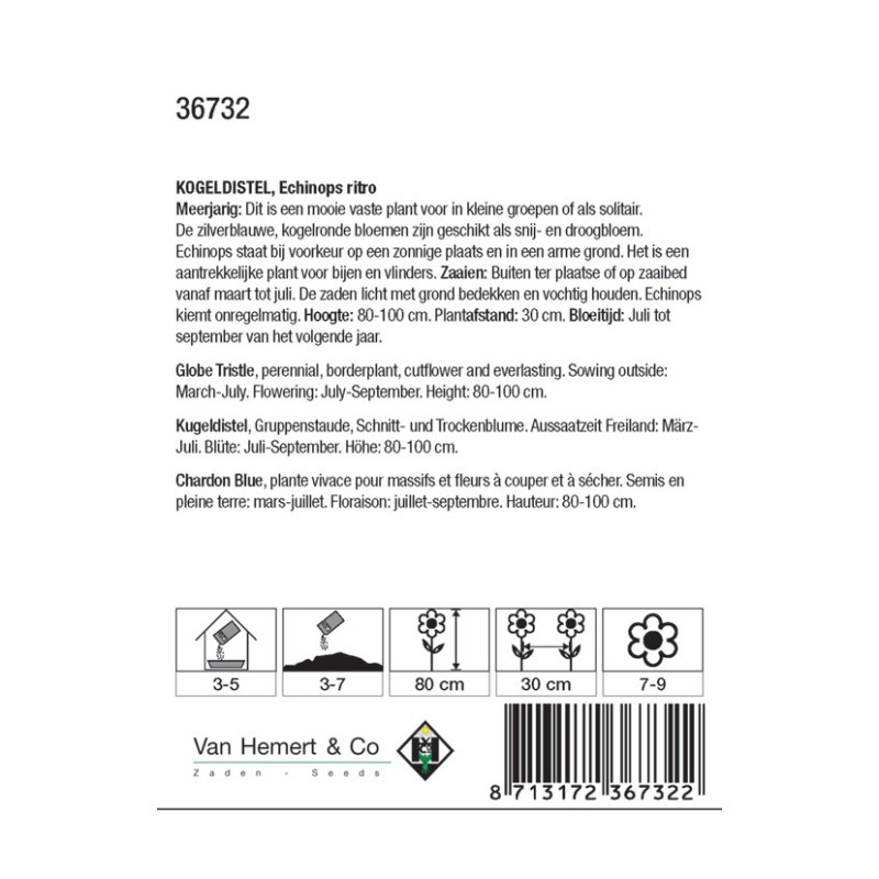 Echinops ritro -zaden- Echinops ritro -zaden-