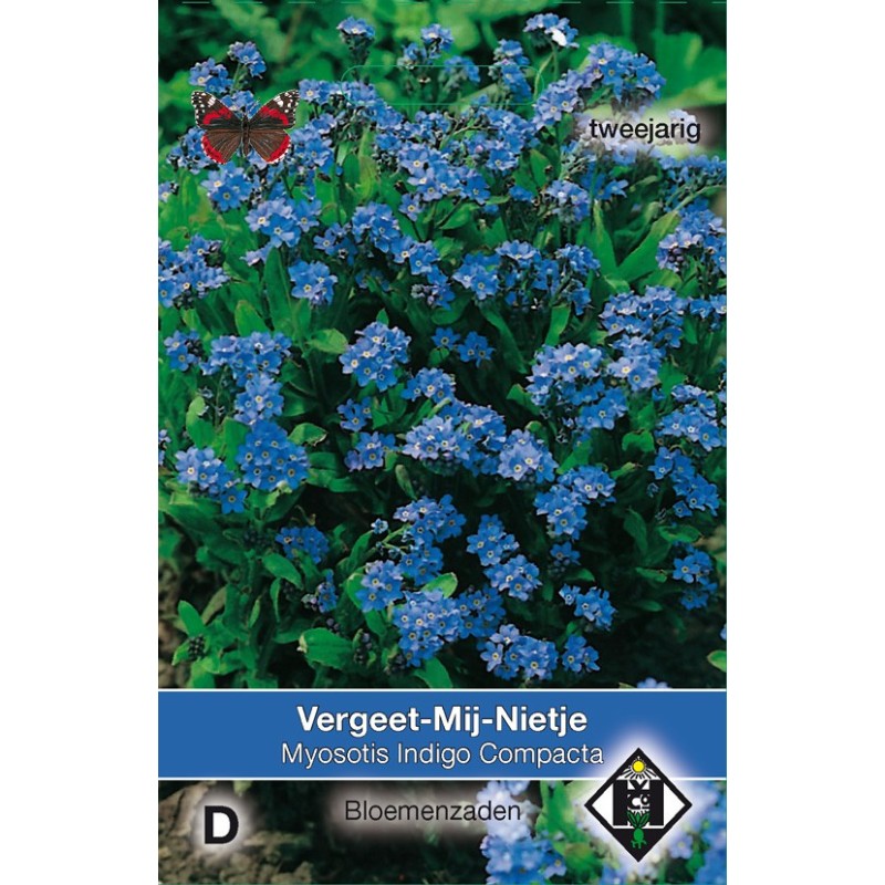 Myosotis sylvatica 'Indigo Compacta' -zaden-