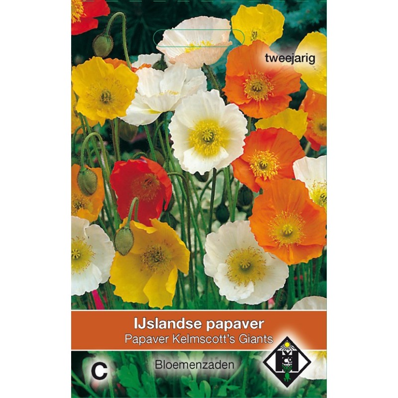 Papaver nudicaule 'Kelmscott's Giants' -zaden- Papaver nudicaule 'Kelmscott's Giants' -zaden-