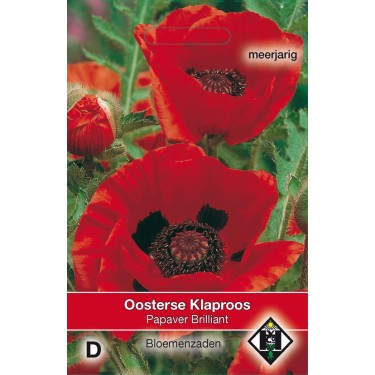 Papaver orientale 'Brilliant' -zaden-
