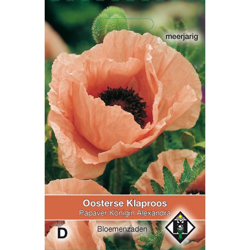 Papaver orientale 'Konigin Alexandra' -zaden-