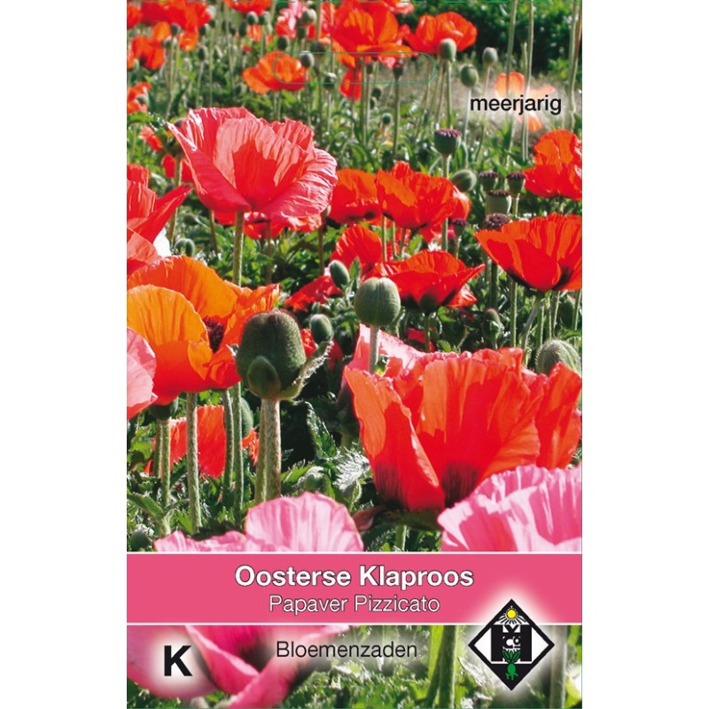 Papaver orientale 'Pizzicato' -zaden- Papaver orientale 'Pizzicato' -zaden-