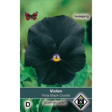 Viola x wittrockiana 'Black Cristal' -zaden-