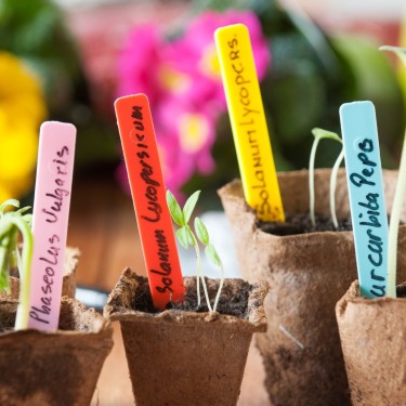 Steeketiketten gekleurd (40st.)