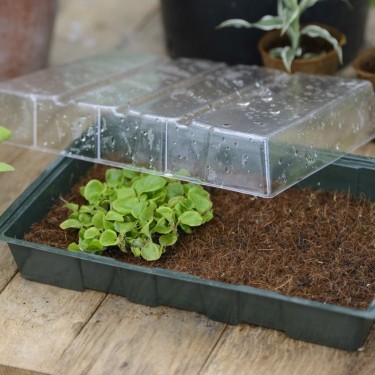 Mini-kweekkas - met kokosmat - H11 x 35 x 23,5 cm