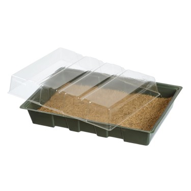 Mini-kweekkas - met kokosmat - H11 x 35 x 23,5 cm Mini-kweekkas - met kokosmat - H11 x 35 x 23,5 cm