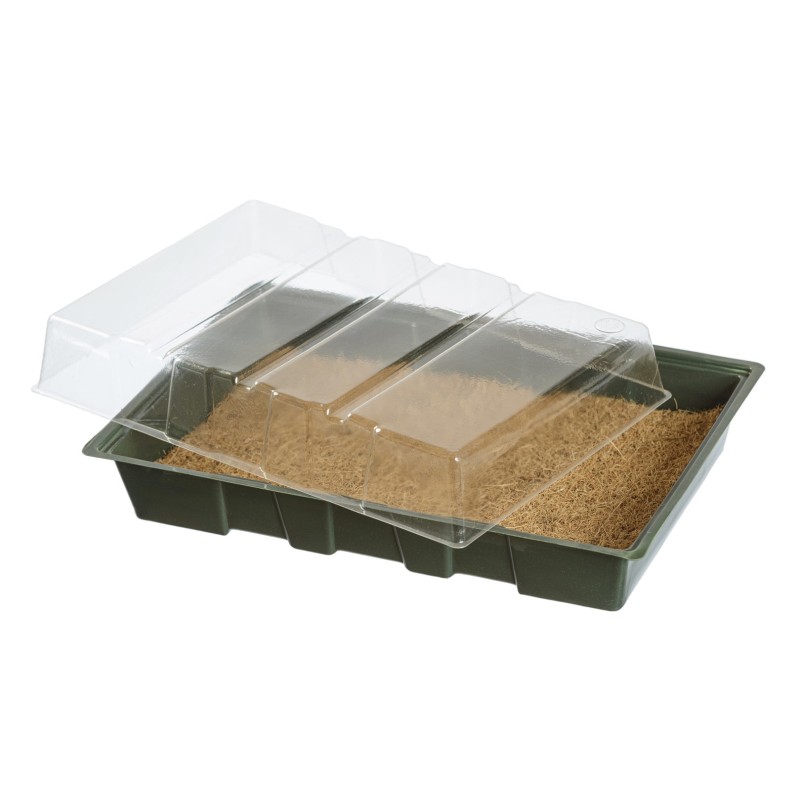 Mini-kweekkas - met kokosmat - H11 x 35 x 23,5 cm Mini-kweekkas - met kokosmat - H11 x 35 x 23,5 cm