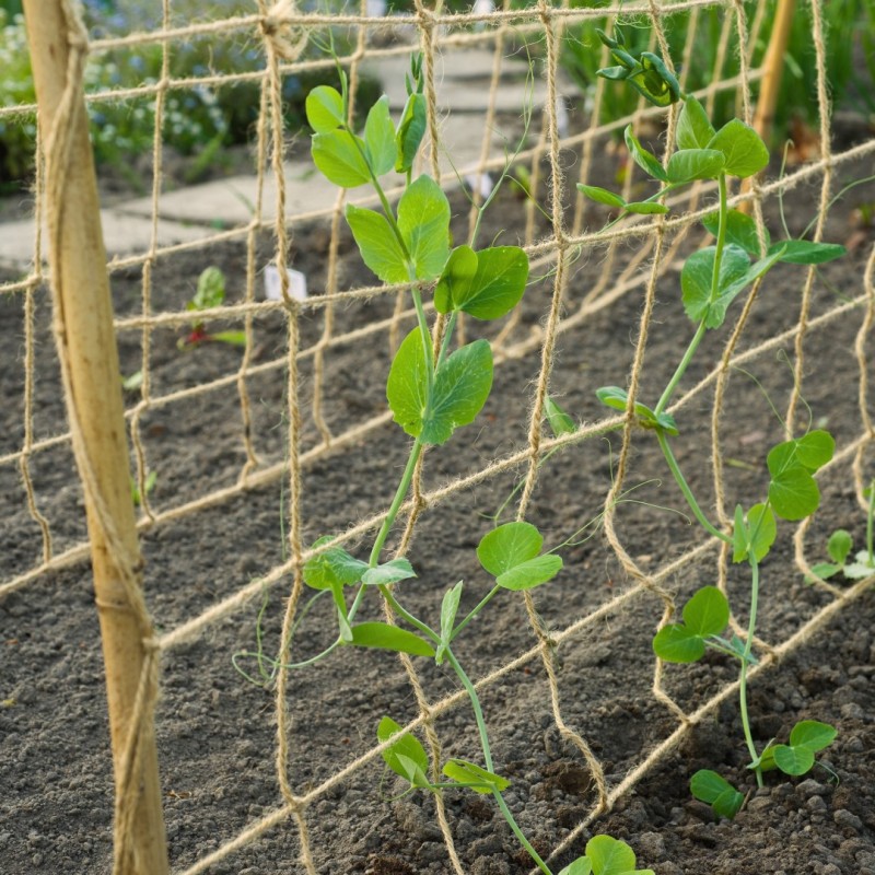 Klim- geleidenet jute 1x3m Klim- geleidenet jute 1x3m