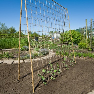 Klim- en geleidenet jute 1,8 x 5m 