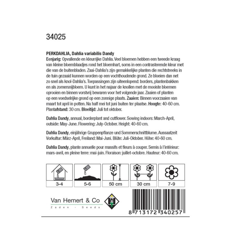 Dahlia variabilis 'Dandy' -zaden-