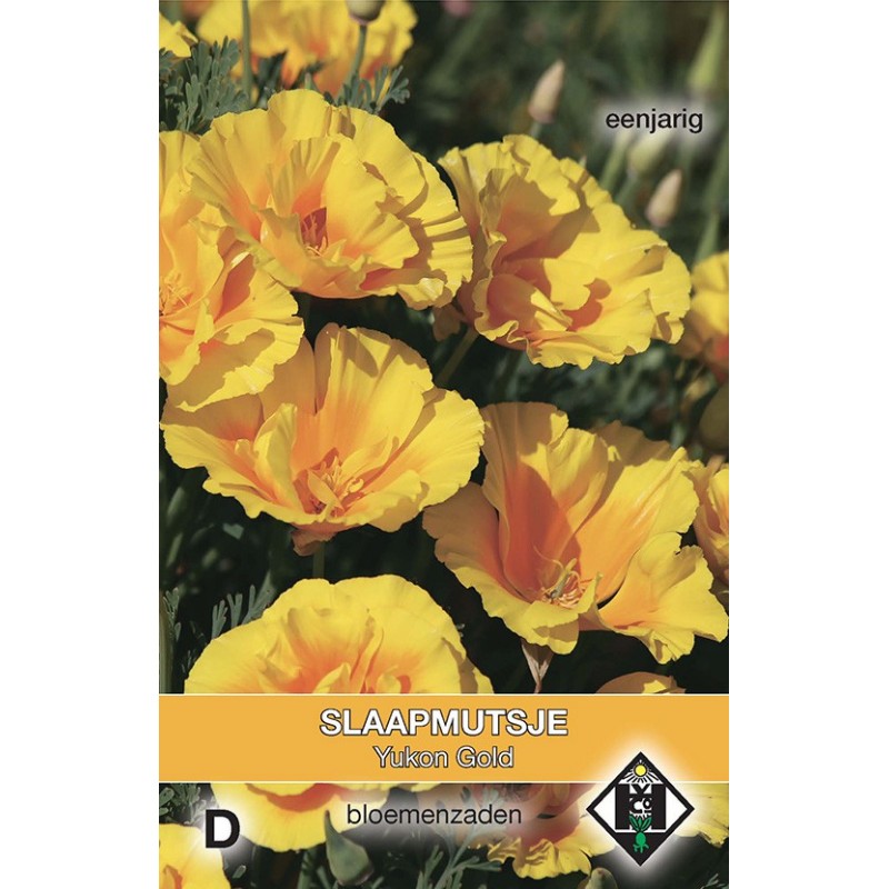 Eschscholzia californica 'Yucan Gold' -zaden- Eschscholzia californica 'Yucan Gold' -zaden-
