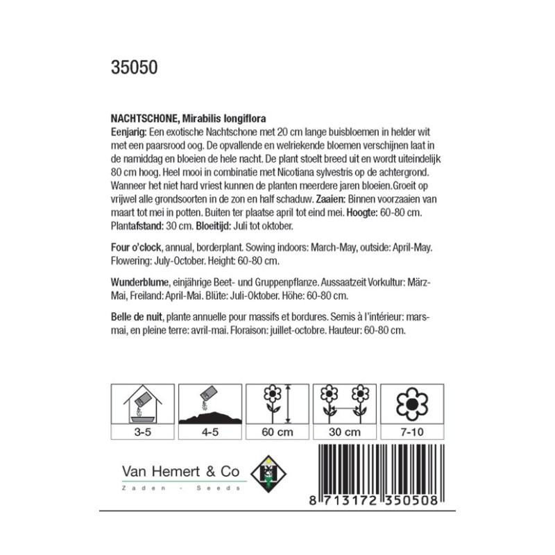 Mirabilis longiflora -zaden-