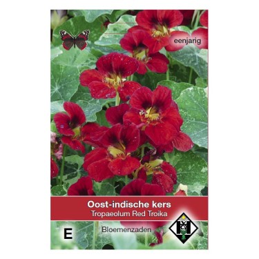 Tropaeolum majus nanum 'Red Troika' -zaden- Tropaeolum majus nanum 'Red Troika' -zaden-