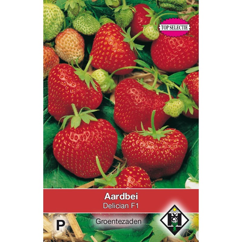 Aardbei, Fragaria x ananassa 'Delician F1' -zaden- - Aardbei, Fragaria x ananassa 'Delician F1' -zaden- -
