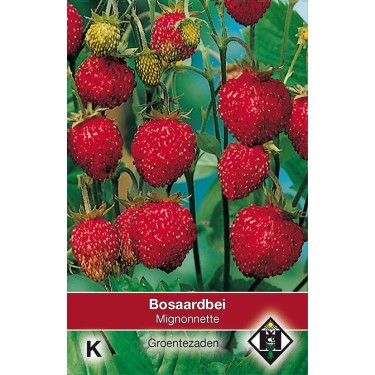 Bosaardbei, Fragaria vesca 'Mignonnette' -zaden-