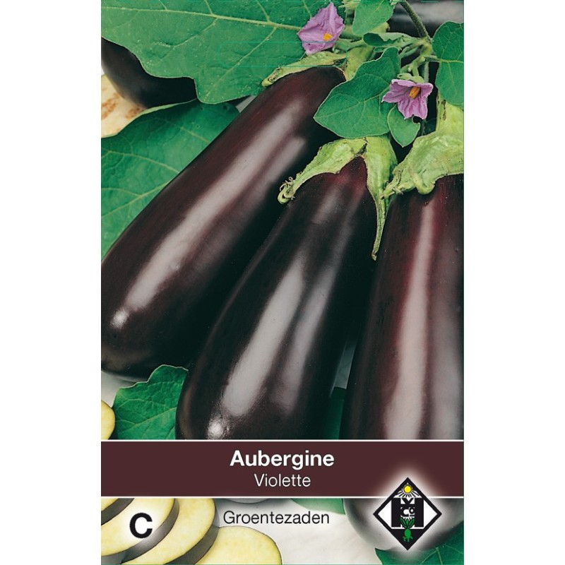 Aubergine, Solanum melongena 'Halflange Violette' -zaden- Aubergine, Solanum melongena 'Halflange Violette' -zaden-