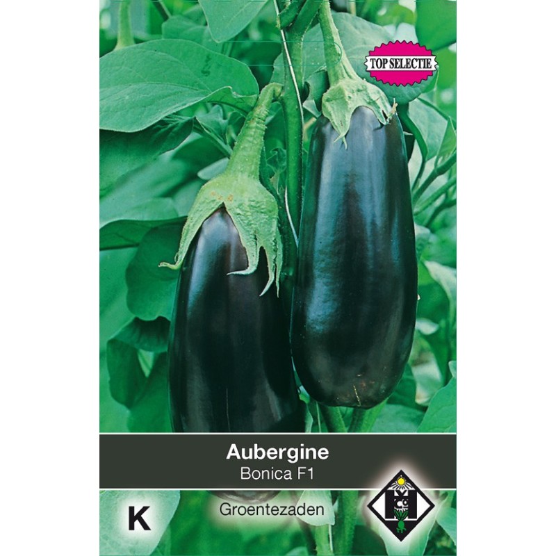 Aubergine Bonica F1 -zaden- Aubergine Bonica F1 -zaden-