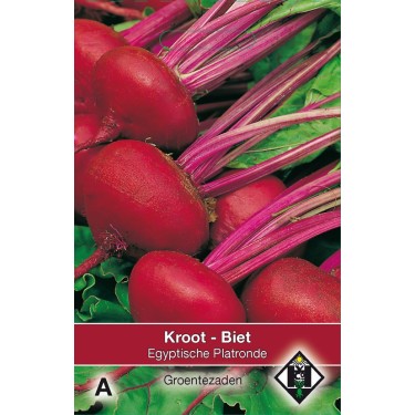 Biet - Kroot, Beta vulgaris 'Egyptische Platronde' -zaden-