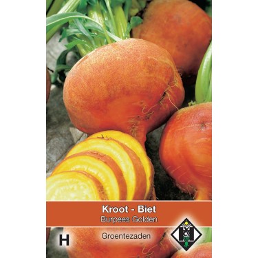 Biet - Kroot, Beta vulgaris 'Burpees Golden' -zaden-