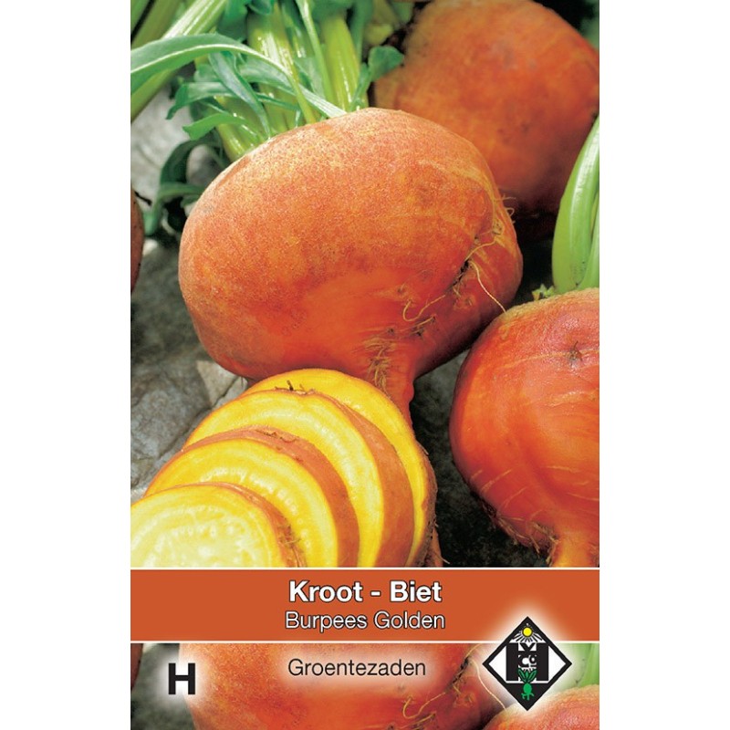 Biet - Kroot, Beta vulgaris 'Burpees Golden' -zaden- Biet - Kroot, Beta vulgaris 'Burpees Golden' -zaden-