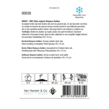 Biet - Kroot, Beta vulgaris 'Burpees Golden' -zaden- Biet - Kroot, Beta vulgaris 'Burpees Golden' -zaden-