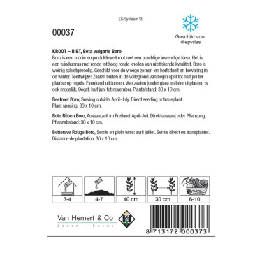 Biet - Kroot, Beta vulgaris 'Boro' -zaden- Biet - Kroot, Beta vulgaris 'Boro' -zaden-