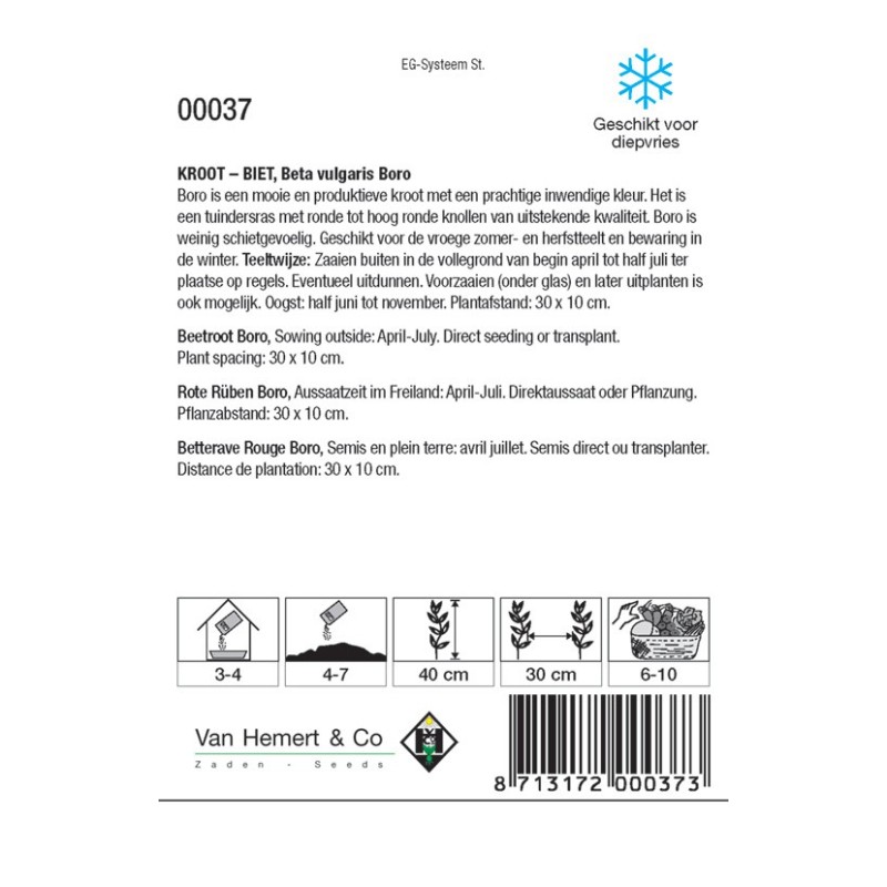 Biet - Kroot, Beta vulgaris 'Boro' -zaden- Biet - Kroot, Beta vulgaris 'Boro' -zaden-