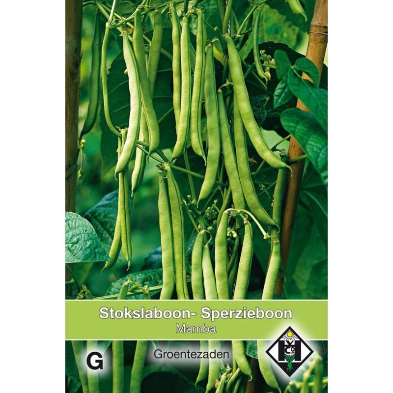 Stokslaboon Mamba, 25 gr. -zaden-