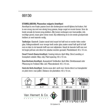 Stamslaboon, Phaseolus vulgaris 'Amethyst', 30 gr. -zaden- Stamslaboon, Phaseolus vulgaris 'Amethyst', 30 gr. -zaden-