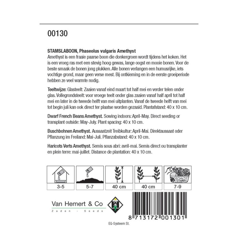 Stamslaboon, Phaseolus vulgaris 'Amethyst', 30 gr. -zaden- Stamslaboon, Phaseolus vulgaris 'Amethyst', 30 gr. -zaden-