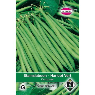 Stamslaboon - Sperzieboon, Phaseolus vulgaris Compass, 30 gr. -zaden-