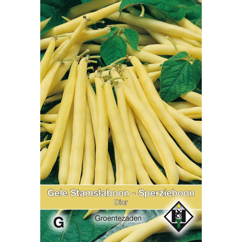 Stamslaboon - Sperzieboon, Phaseolus vulgaris 'Dior', 30 gr. -zaden- Stamslaboon - Sperzieboon, Phaseolus vulgaris 'Dior', 30 gr. -zaden-