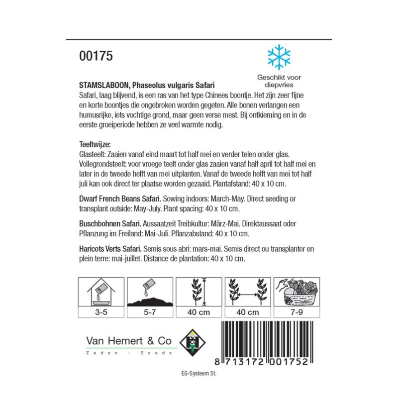 Stamslaboon, Phaseolus vulgaris 'Safari', 30 gr. -zaden- Stamslaboon, Phaseolus vulgaris 'Safari', 30 gr. -zaden-