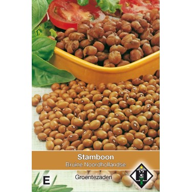 Stamboon - Bruine boon, Phaseolus vulgaris 'Bruine N.Hollandse' 30 gr. -zaden-