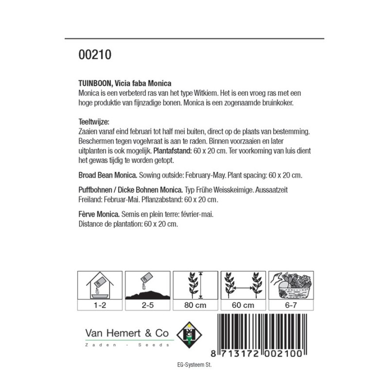 Tuinboon, Vica faba 'Monica', 60 gr. -zaden- Tuinboon, Vica faba 'Monica', 60 gr. -zaden-
