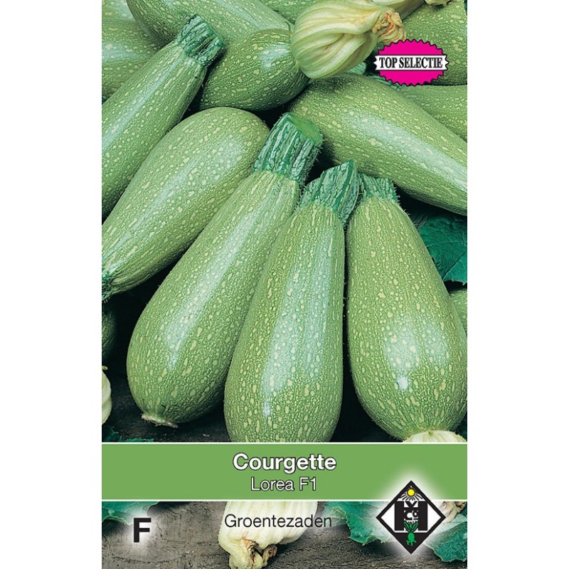 Courgette, Lorea F1 -zaden- Courgette, Lorea F1 -zaden-