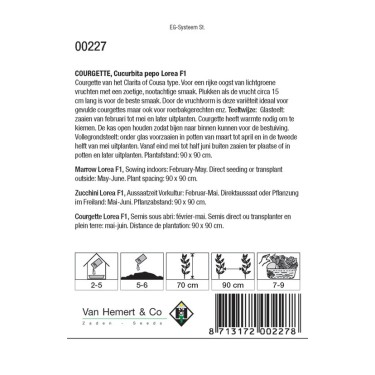 Courgette, Lorea F1 -zaden- Courgette, Lorea F1 -zaden-
