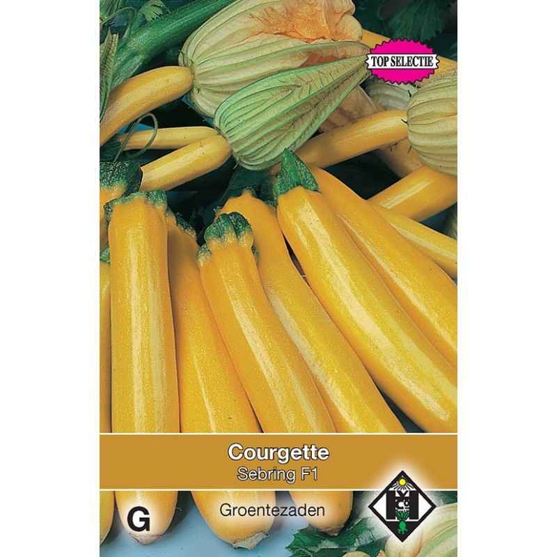 Courgette, Cucurbita pepo 'Yellowstar F1' -zaden- Courgette, Cucurbita pepo 'Yellowstar F1' -zaden-