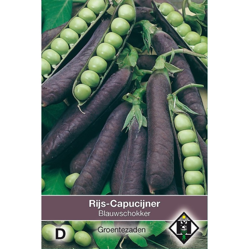Rijscapucijner Pisum sativum 'Blauwschokker', 50 gr. -zaden- Rijscapucijner Pisum sativum 'Blauwschokker', 50 gr. -zaden-
